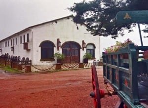 Lee más sobre el artículo Lapataia Uruguay delicatesse para el paladar