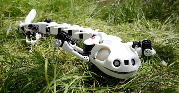 Pleurobot, el robot que emula una salamandra