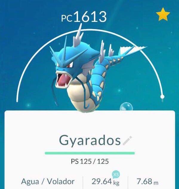 gyarados-1