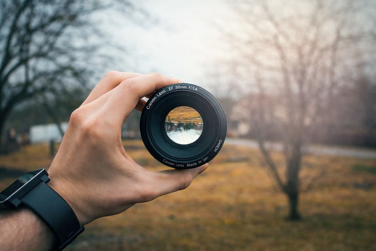 eclixxo diseno web colores