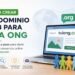 crear un dominio web para una ONG